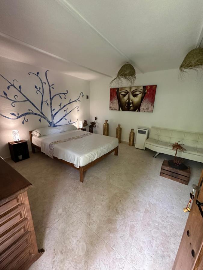 New Paradaise Art Gallery Hotell Xàtiva Exteriör bild