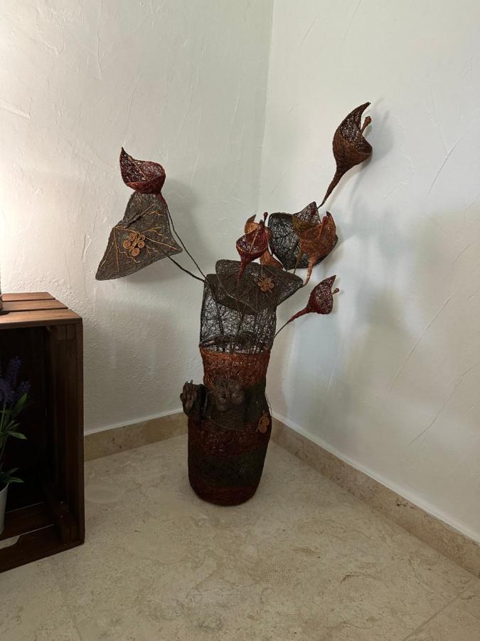 New Paradaise Art Gallery Hotell Xàtiva Exteriör bild