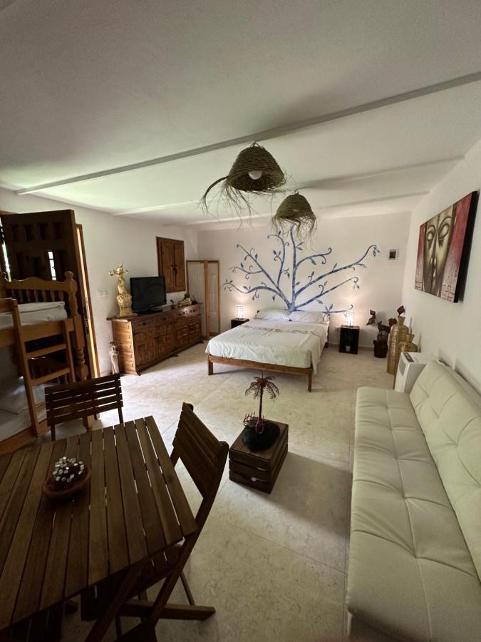 New Paradaise Art Gallery Hotell Xàtiva Exteriör bild