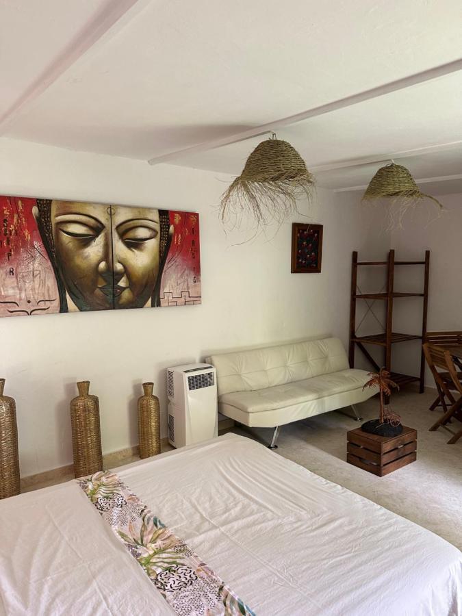 New Paradaise Art Gallery Hotell Xàtiva Exteriör bild